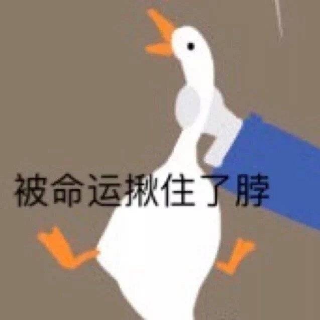 broken image